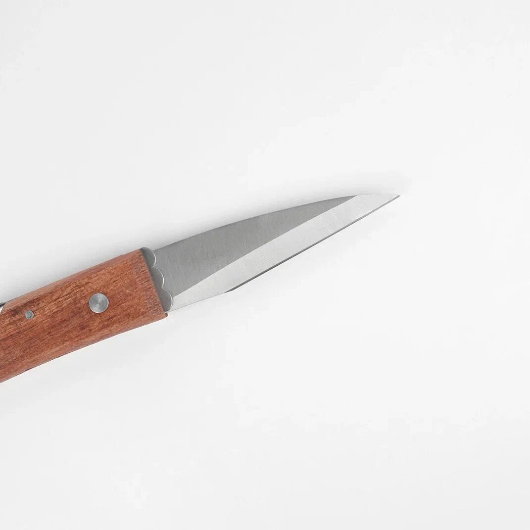 Прививочный нож с деревянной рукояткой mod. 55188, 23см - фотография № 4