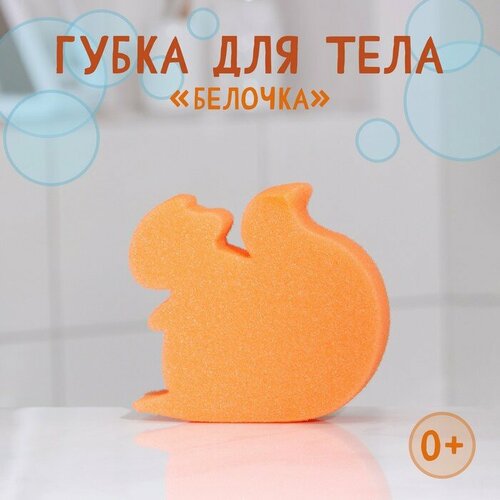 Губка для тела детская Белочка 13513040 мм цвет микс 254₽