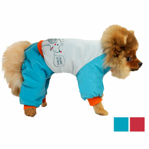 Одежда DogVille комплект полукомбинезон и куртка, принт, на кнопках, зима 21см