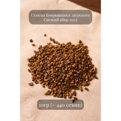Семена Боярышника даурского, 10 грамм (примерно 440 шт)