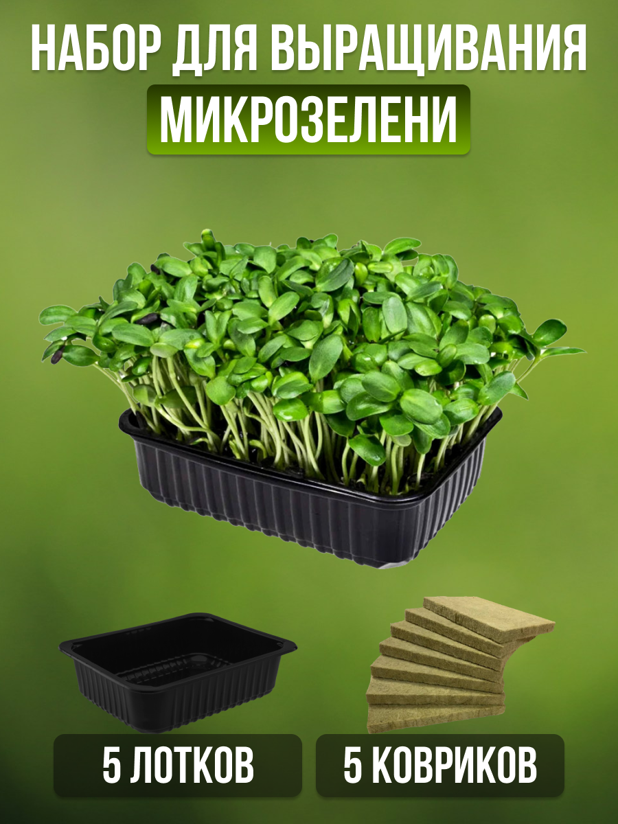 Набор для выращивания микрозелени (без семян)
