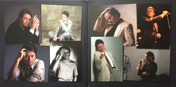 Robert Palmer Robert Palmer - Collected (2 LP) IAO - фото №6