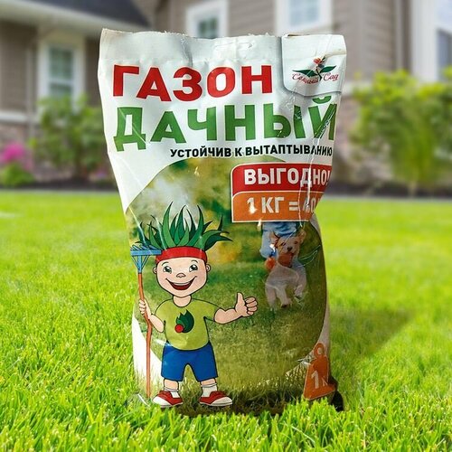 Газонные травы (Семена растения) Дачный 1 кг