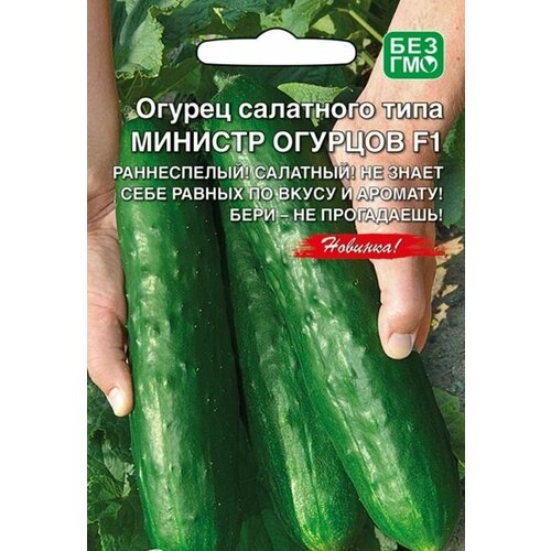 Семена Огурец "Министр огурцов - салатного типа", 10 шт зеленый