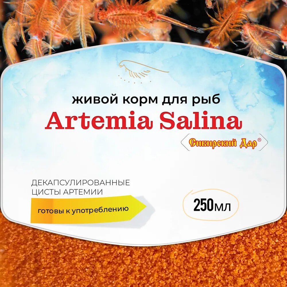 Декапсулированные яйца артемии (цисты) - корм для рыб "Сибирский дар" Artemia Salina, 250 мл - для мальков, кораллов, ракообразных