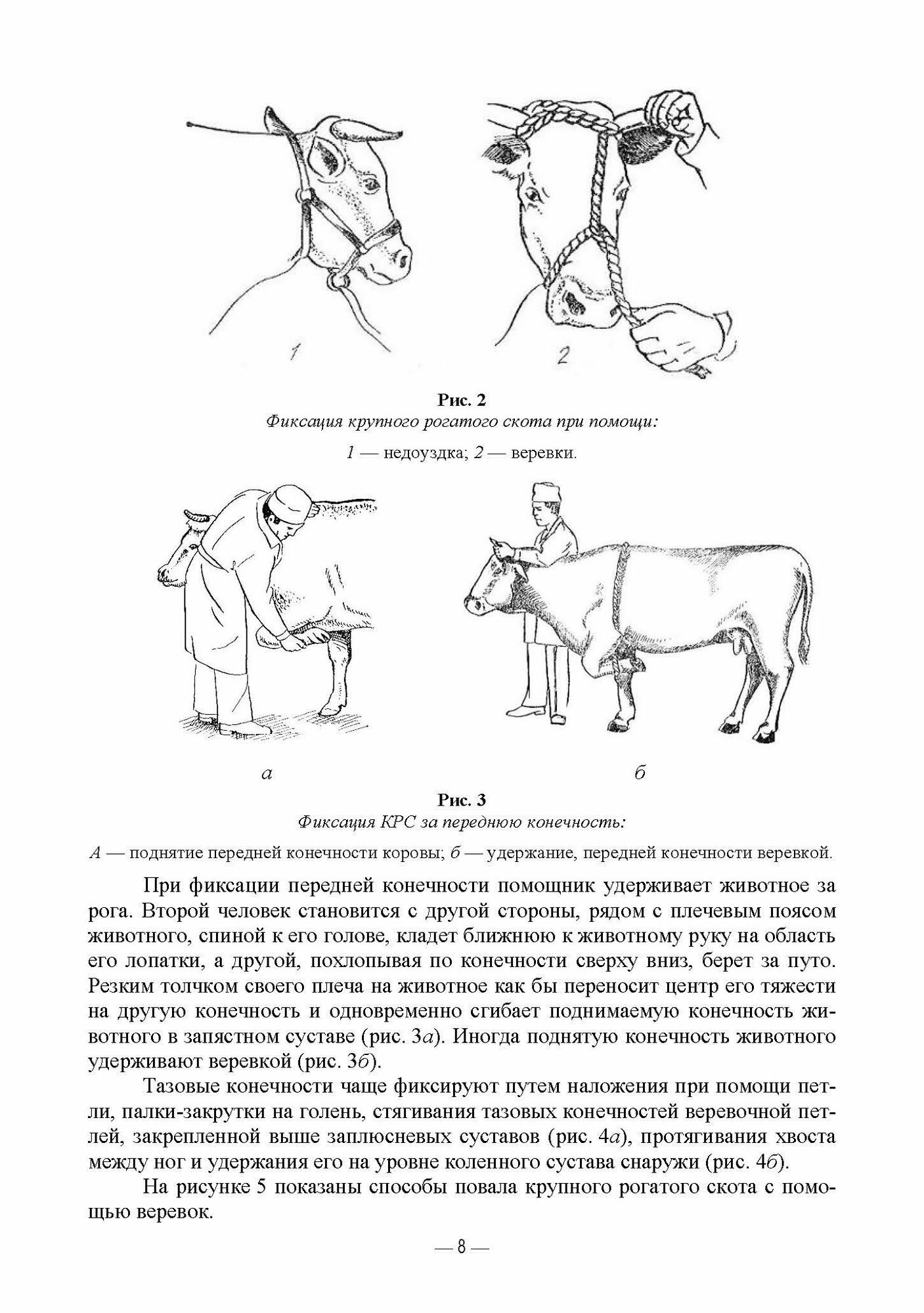 Патологическая физиология животных. Практикум. Учебное пособие, 2-е издание стереотипное - фото №3