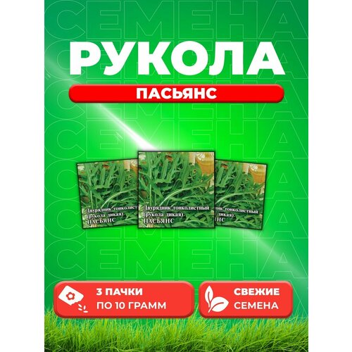 Двурядник тонколистный (Рукола дикая) Пасьянс 10,0 г (3уп)