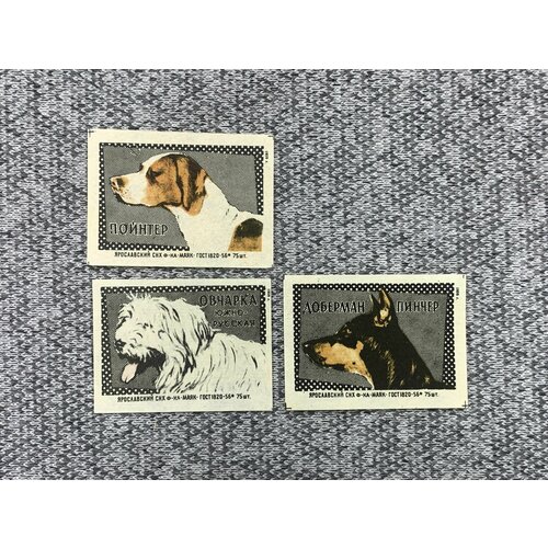 Набор из 3 коллекционных спичечных этикеток СССР - Собаки