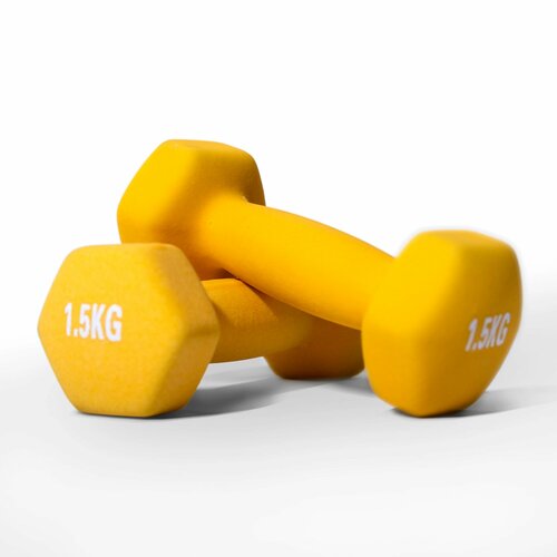 Гантель неопреновая Protrain DB306-15 парапара 1280₽