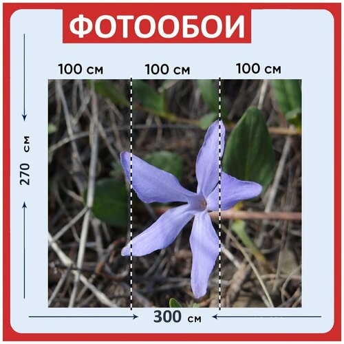 Фотообои Синий цветок цветок блум 300x270 см флизелиновыена стену 3960₽
