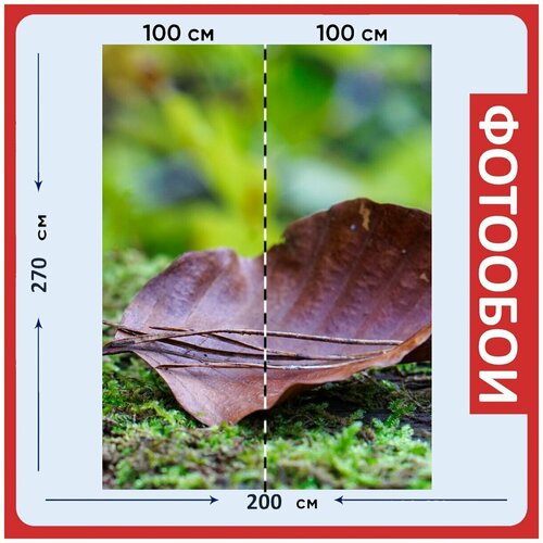 Фотообои Лес лист коричневый 200x270 см флизелиновыена стену 2980₽
