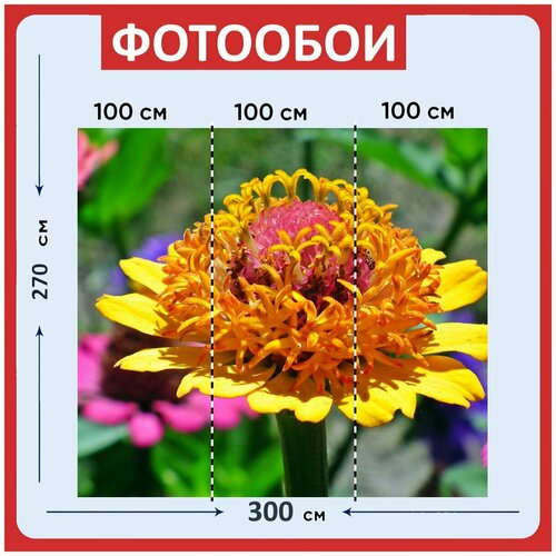 Фотообои Цинния цветок желтый цветок 300x270 см флизелиновыена стену 3940₽