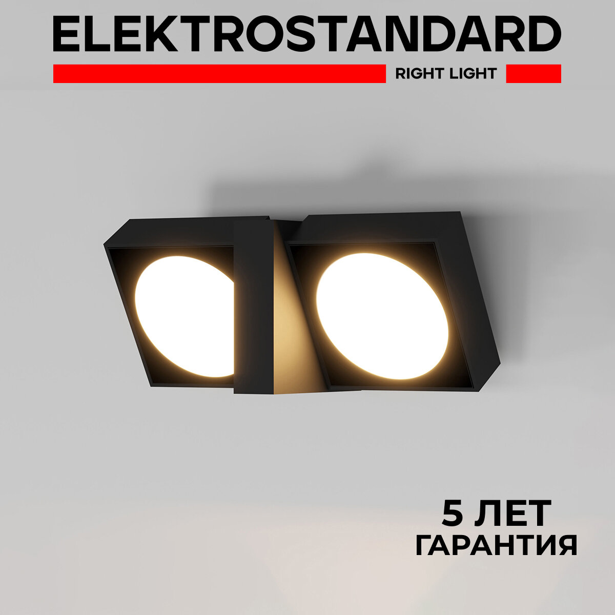 Уличный настенный светодиодный светильник Elektrostandard Twin 35170/D поворотный 14 Вт 4000K цвет черный IP54