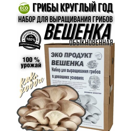 Набор для выращивания грибов в домашних условиях