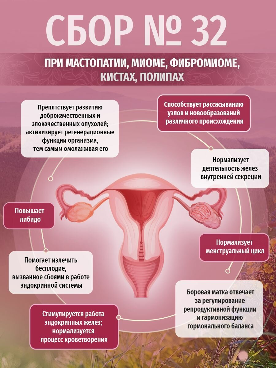 Картинки Травы Кавказа Сбор №32 при мастопатии, миоме, фибромиоме, кистах, полипах. 400гр.