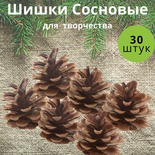 Шишки для декора на елку и для поделок 30 шт 4-5 см Для создания различных творческих идей украшений новогодних венков Подойдут детям и взрослым 460₽