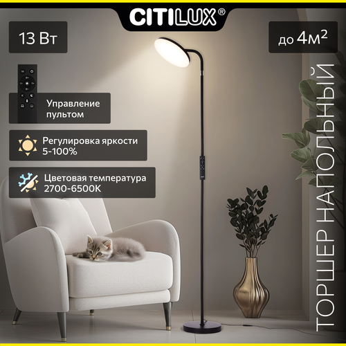 Citilux