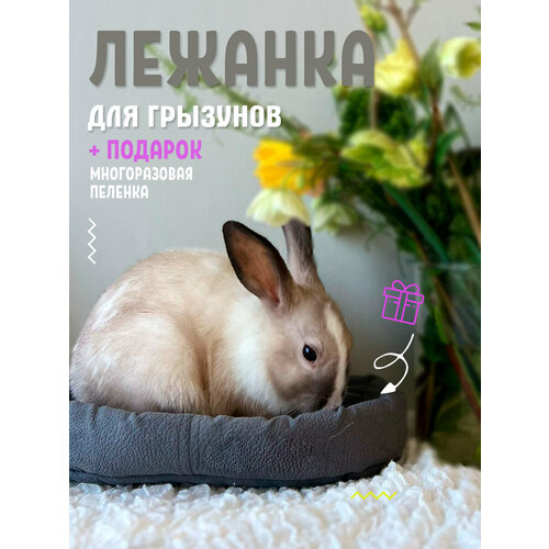 Лежанка для грызунов, дегу хомяков, шиншилл, для морской свинки в клетку BOAT, 29х15 серый