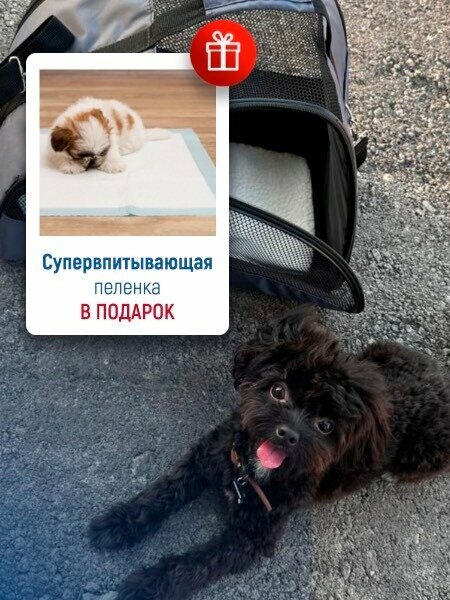 Сумка переноска для кошек и собак М с жестким каркасом XL ZOLO до 12 кг №3 42x27x26 см для самолета авиаперевозок — фото 1