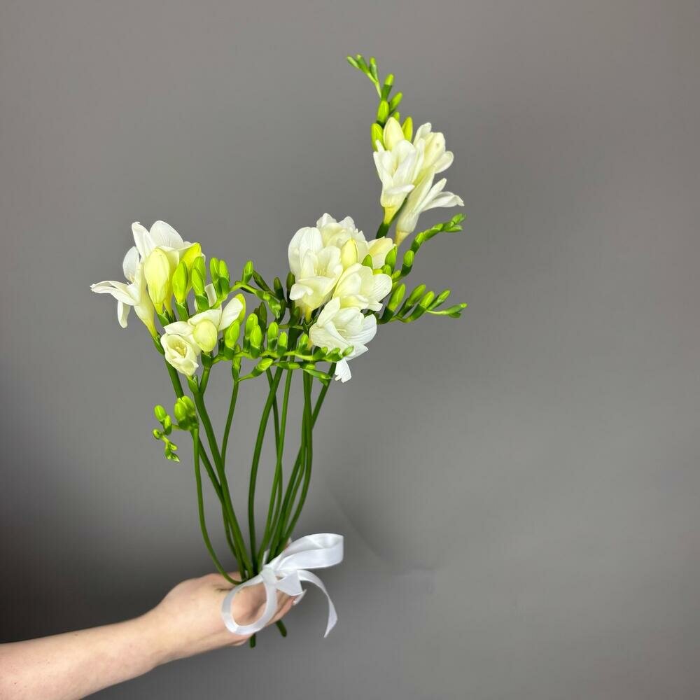 Букет из 5 белых фрезий