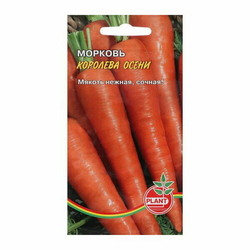 Семена Морковь "Королева осени", 800 шт, 2 шт.