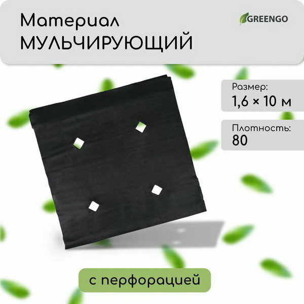 Материал мульчирующий, с перфорацией, 10 x 1.6 м, плотность 80 г/?2, спанбонд с УФ-стабилизатором, чёрный, Эконом 30%