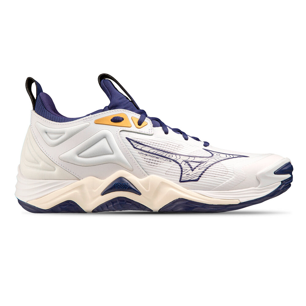 Мужские кроссовки волейбольные MIZUNO V1GA2312 43 WAVE MOMENTUM 3 ( 85 US )