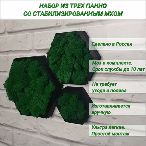 Панно - кашпо на стену со стабилизированным мхом , соты 10, 15, 20 см, черные