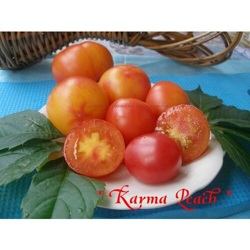 Коллекционные семена томата Персик Карма
