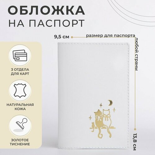 Обложка для паспорта , мультиколор