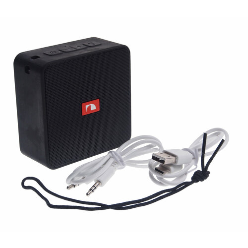 Колонка беспроводная bluetooth NAKAMICHI 283500₽