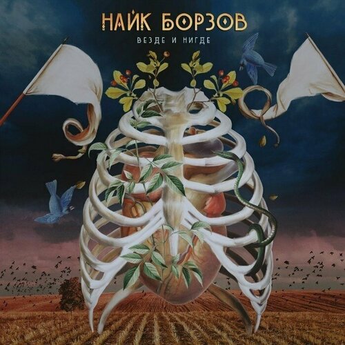 Виниловая пластинка Найк Борзов Везде и Нигде. 1 LP