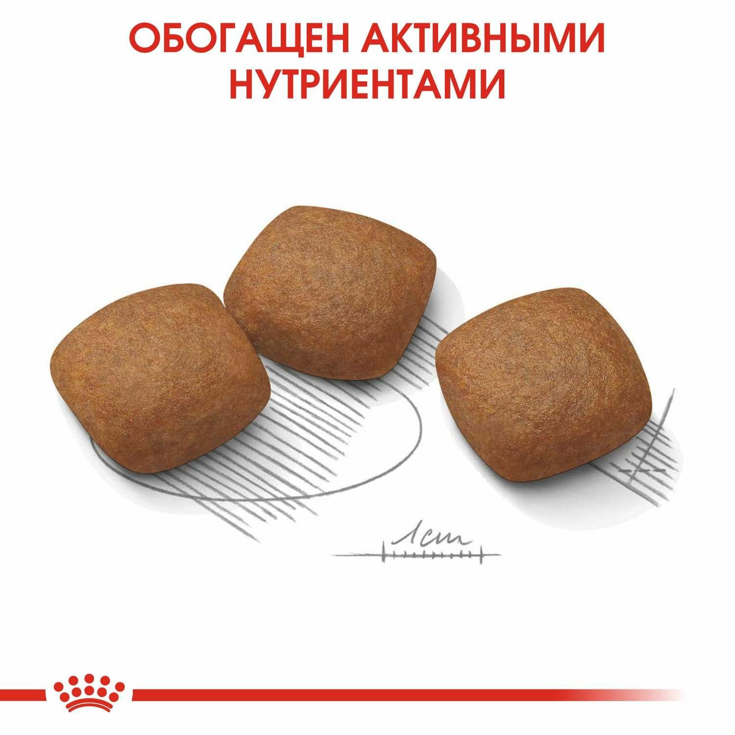 Royal Canin Maxi Joint Care сухой корм для собак крупных пород с повышенной чувствительностью суставов, 10кг - фото №5