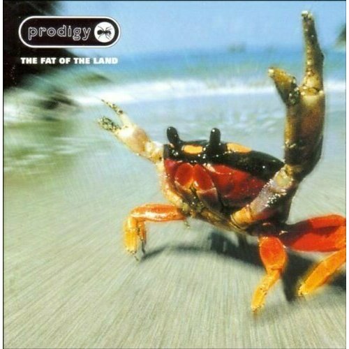AUDIO CD PRODIGY, THE - The Fat Of The Land. 1 CD the prodigy the fat of the land 2 cd