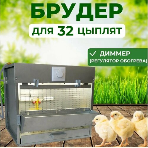 Брудер Оптима Премиум для 32 цыплят, корпус и поддон из нержавеющей стали брудер для 70 цыплят оптима цифра с терморегулятором
