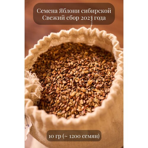 Семена декоративной Яблони сибирской, морозостойкой, 10 грамм (примерно 1000 шт)