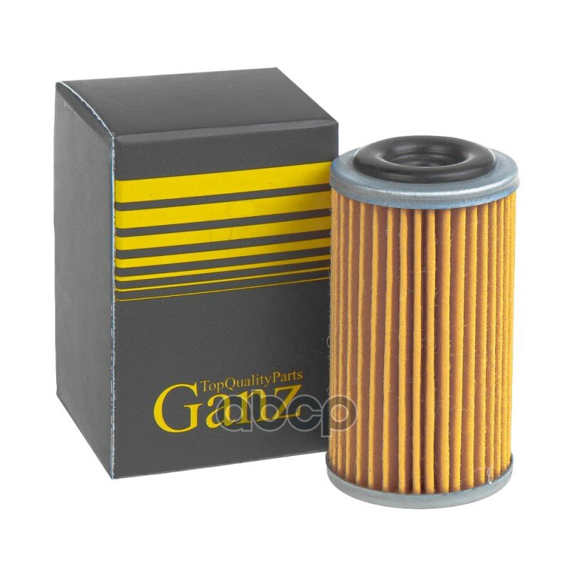 Фильтр АКПП CHERY/OMODA/EXEED TXL/VX/LX 2.0 CVT GANZ GIH02112 GANZ арт. GIH02112