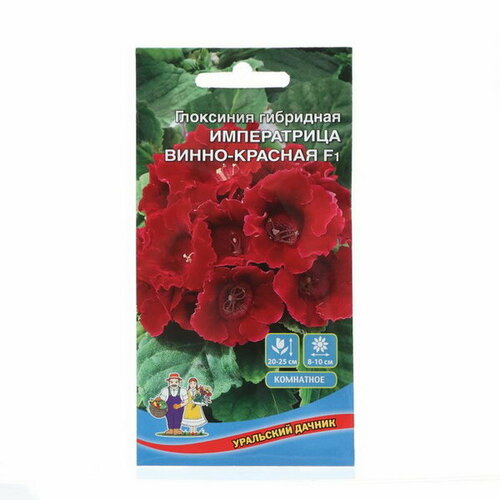 Семена Цветов Глоксиния гибридая Императрица, винно-красная, 5 шт семена глоксиния жизель комнатные 5 шт