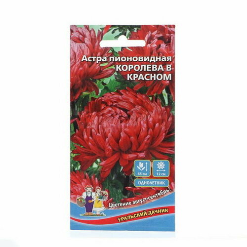 Семена Цветов Астра пионовидная Королева в красном, 0, 2 г