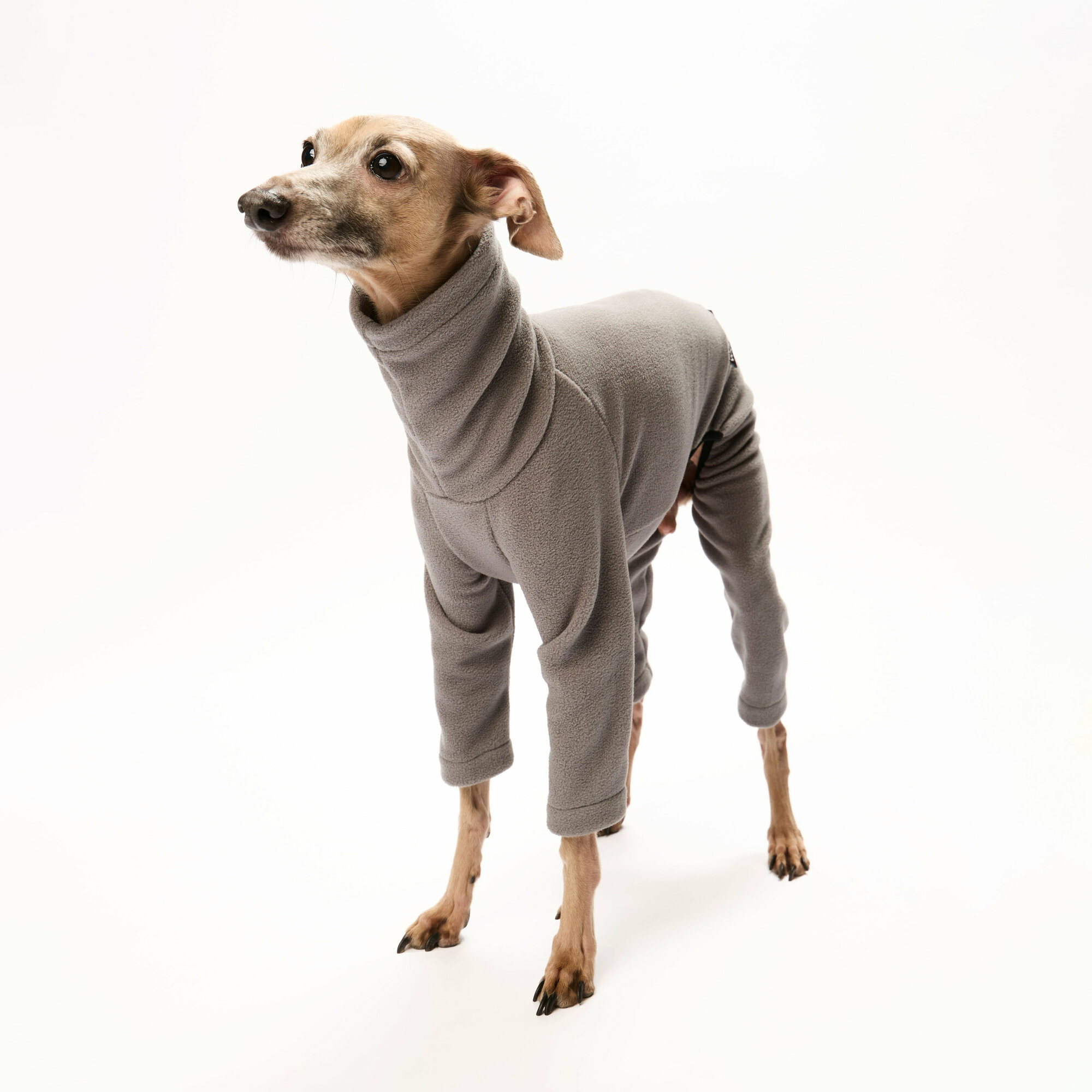 WOOFLER / Комбинезон для собак мелких средних пород из флиса для левретки, цвет серый, размер S36