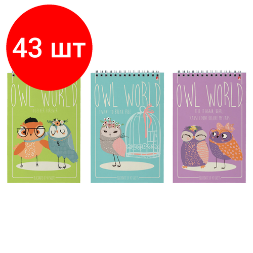 Комплект 43 шт, Блокнот А5, 40 л, гребень, ламинированный картон, клетка, Альт, Совы, (5 видов), 3-40-024