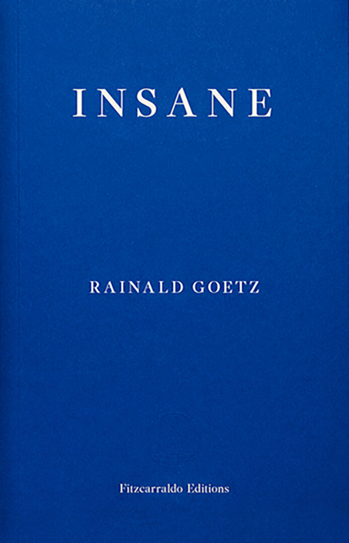 Insane / Книга на Английском (Goetz Rainald) - фото №1