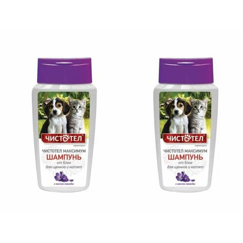 Чисто Тел Шампунь для щенков и котят Максимум, 180 мл, 2 штуки
