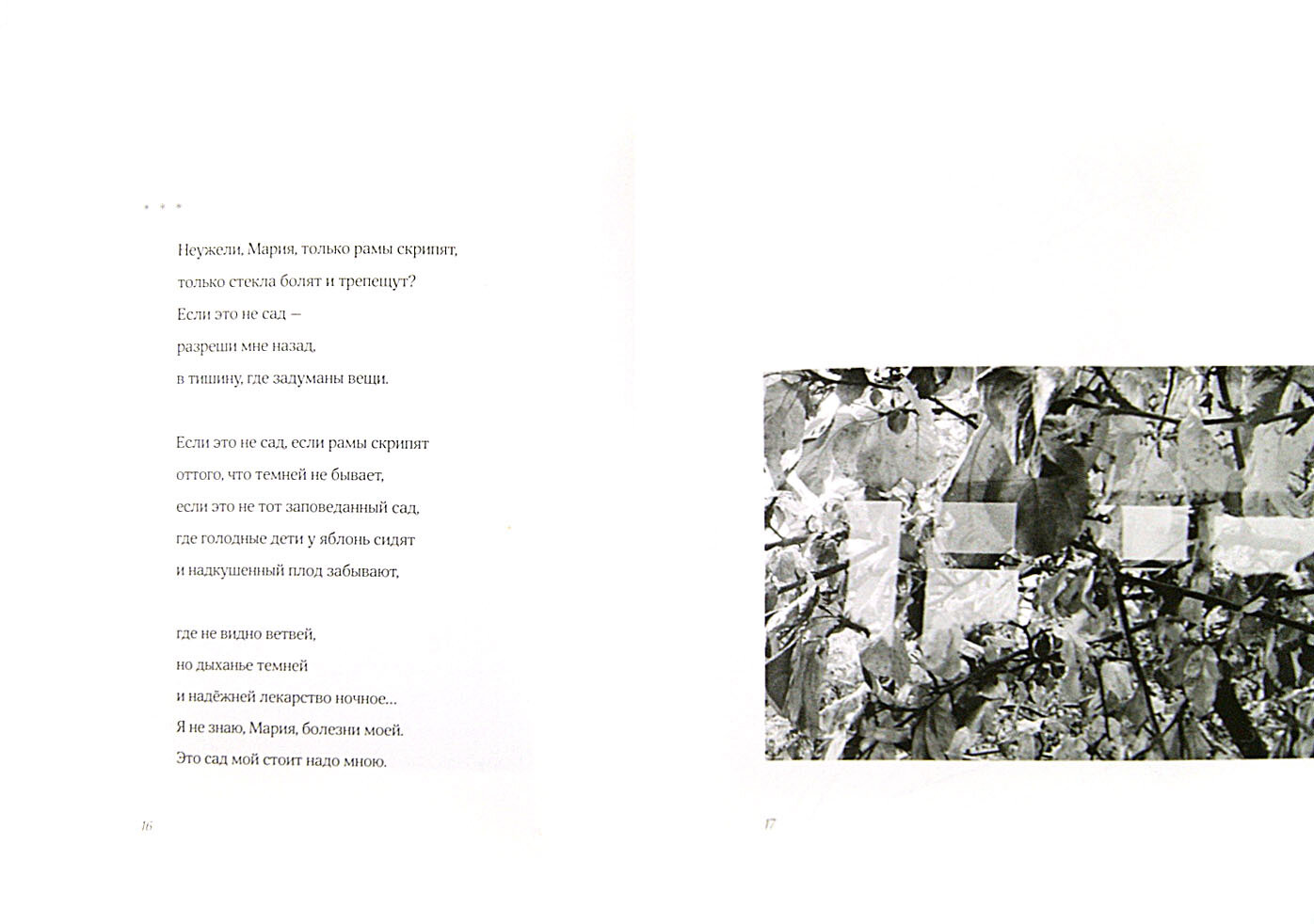 Сад мирозданья (Седакова Ольга Александровна) - фото №4