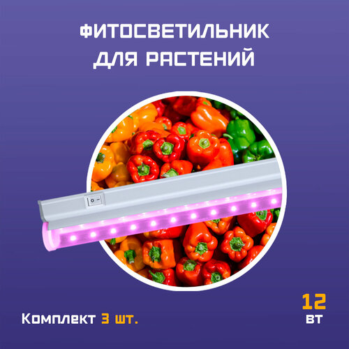 красный, фиолетовый, красный, синий