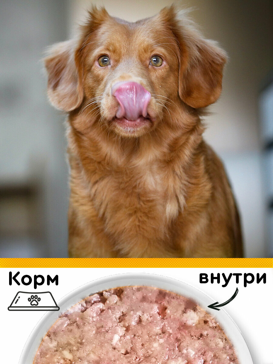 Корм консервированный для собак Petibon Smart "Рубленое мясо с индейкой и телятиной", 240 г х 12 шт.