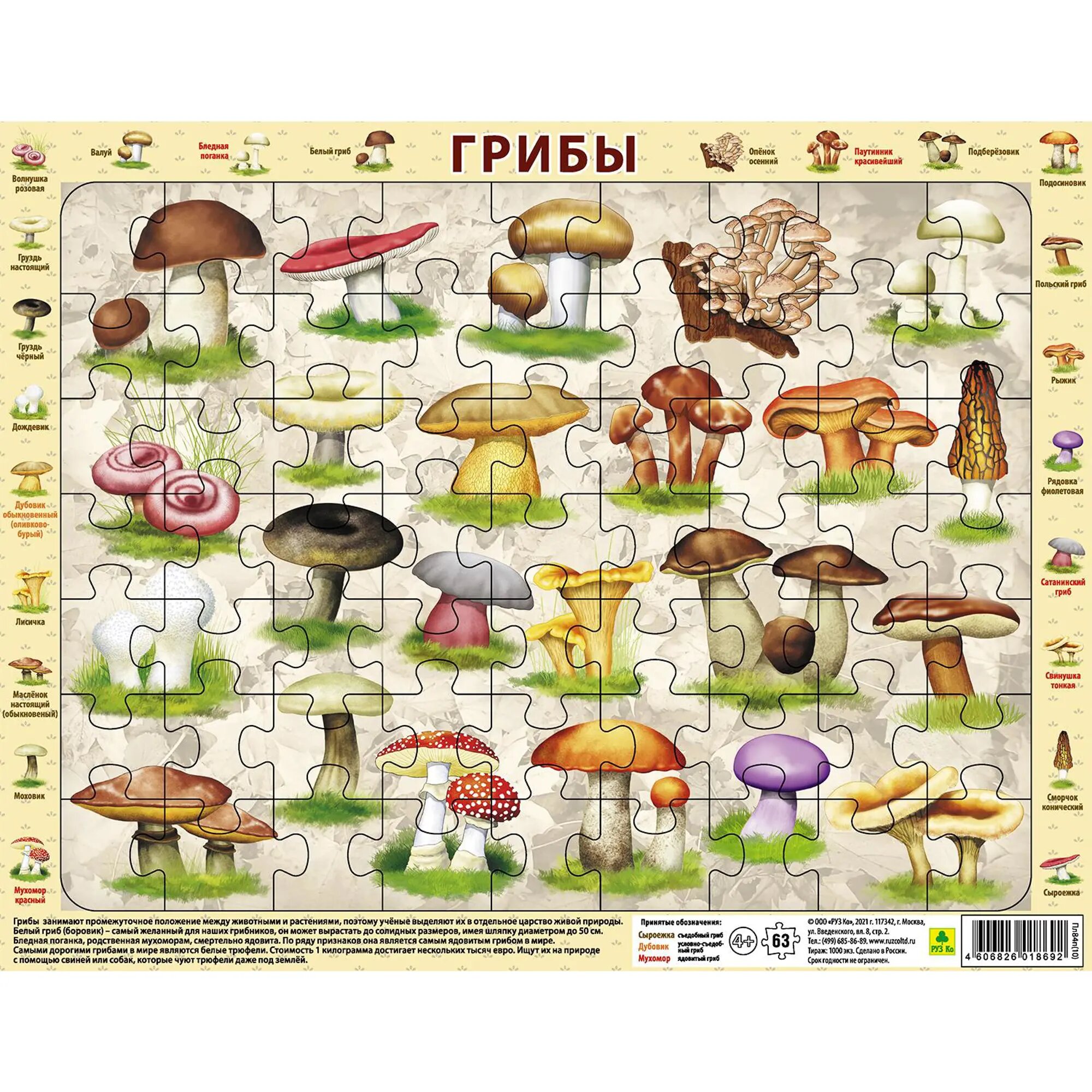 Пазл-63 "Грибы" РУЗ Ко - фото №4