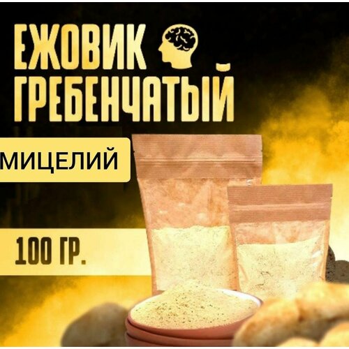 Мицелий ежовика гребенчатого 100 грамм / Ежовик мицелий