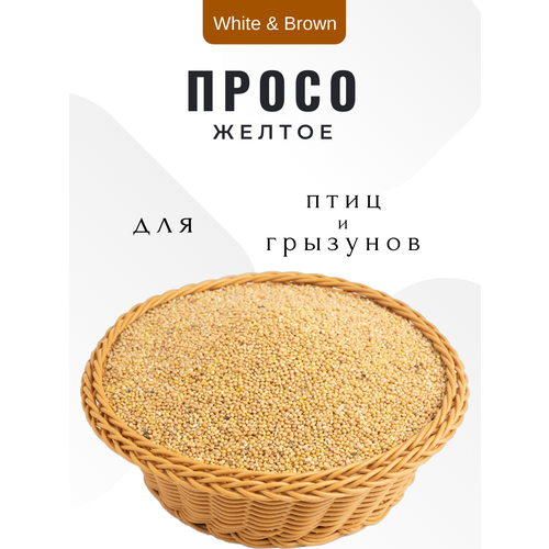 Просо желтое . Корм для домашних , лесных, уличных птиц попугаев и мелких грызунов 1 кг