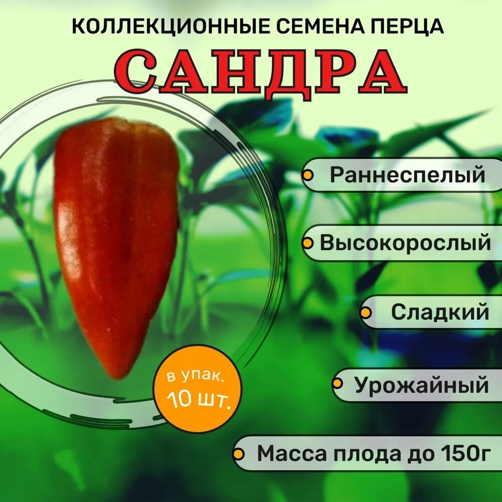 Коллекционные семена перца сладкого Сандра